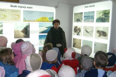 Lekcja edukacyjna w Muzeum Przyrodniczym w Rąbce