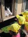 18.06.2010 - Maluszki na wycieczce w Ogrodzie Ornitologicznym w Łebie
